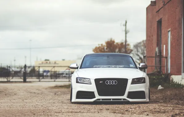 Картинка Audi, white, front, low, stance