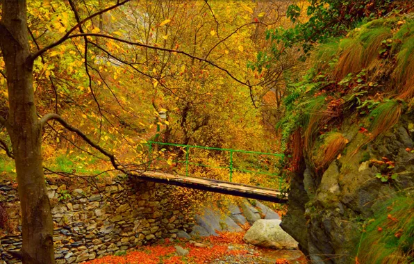 Осень, деревья, мост, Лес, Fall, Листва, Autumn, Colors