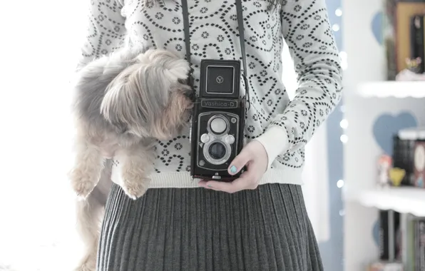 Картинка девушка, фон, обои, настроения, собака, фотоаппарат, собачка, wallpapers