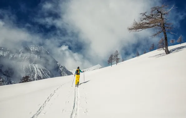 Картинка снег, спорт, лыжи, гора