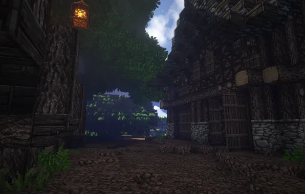 Трава, дом, дерево, улица, мрак, ворота, фонарь, Minecraft