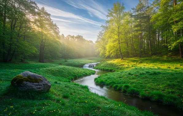 Лес, небо, трава, облака, ручей, весна, grass, forest
