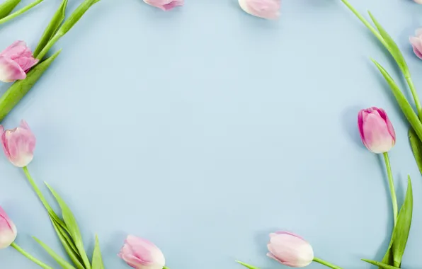 Цветы, тюльпаны, розовые, pink, flowers, tulips, spring