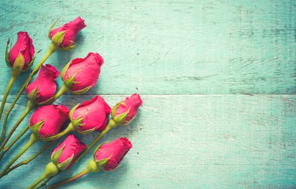 Картинка цветы, розы, розовые, бутоны, fresh, wood, pink, flowers