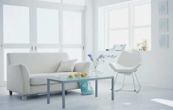 Картинка белый, цветы, дизайн, стиль, комната, диван, интерьер, растения
