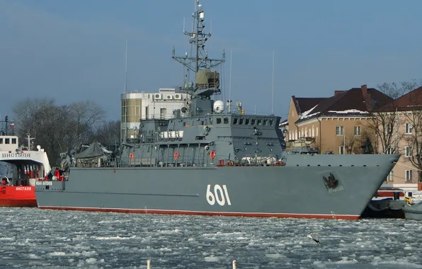 Лебеди, Балтийск, тральщик, Иван Антонов