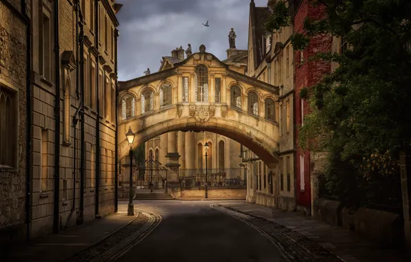 Картинка Англия, здания, фонари, Великобритания, переулок, архитектура, Оксфорд, мост вздохов