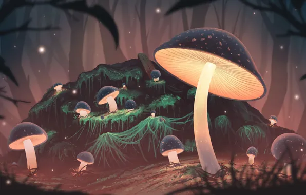 Картинка лес, ночь, грибы, свечение, арт