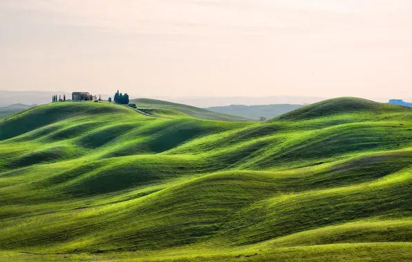 Картинка трава, деревья, дом, холмы, Италия, Тоскана
