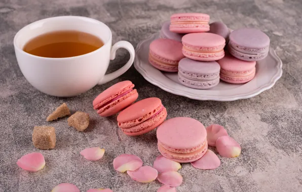 Чай, роза, лепестки, сахар, cookies, macaron