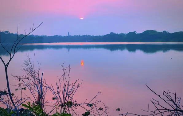 Sun, Water, Sunrise, Dawn, Morning, Lake, Trees, Reflection