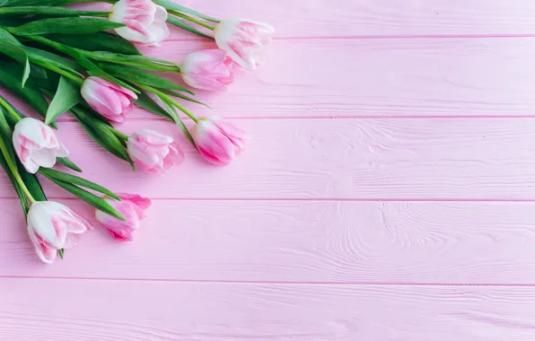 Картинка цветы, розовый, Тюльпаны, деревянный фон