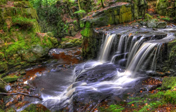 Лес, ручей, камни, Англия, мох, HDR, Rivington, Jepsons Clough Waterfall