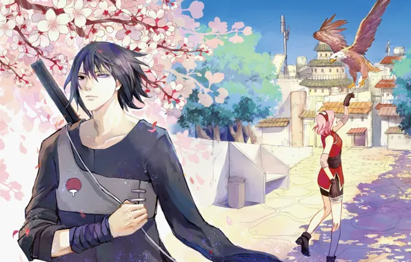 Птица, орел, цветение, naruto, art, Haruno Sakura, Sasuke Uchuha