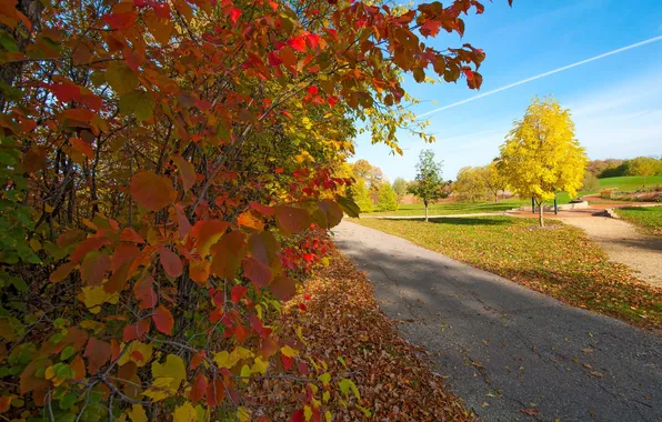 Картинка осень, листья, деревья, парк, дорожка, багрянец