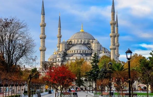 Картинка деревья, фонари, сквер, Стамбул, Мечеть Султана Ахмета, Турция, Istanbul, Turkey