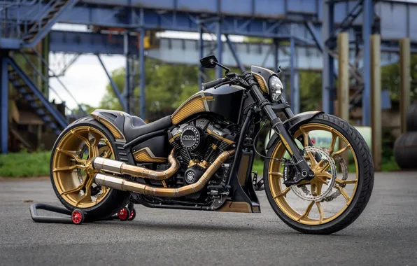 Front, Harley-Davidson, Вид Сбоку, Customized, Softail Breakout, Thunderbike, Steel Horse, Custombikes