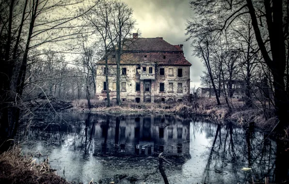 Природа, пруд, дома