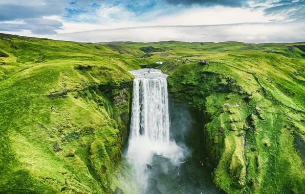 Green, nature, waterfall