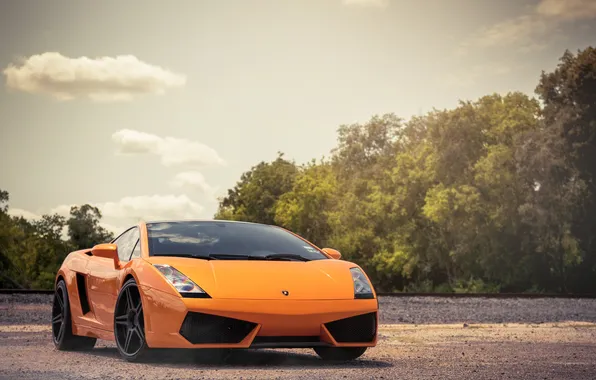 Небо, деревья, оранжевая, Lamborghini, Gallardo, блик, ламборджини, front