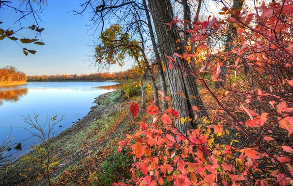 Картинка осень, небо, листья, деревья, закат, река