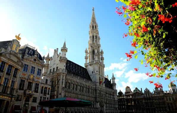 Цветы, дерево, башня, Бельгия, Брюссель, ратуша, площадь Гран-Плас