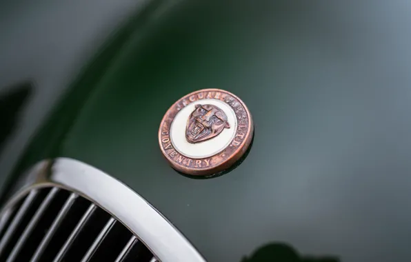 Jaguar, 1954, XK120, Jaguar XK120 SE Roadster