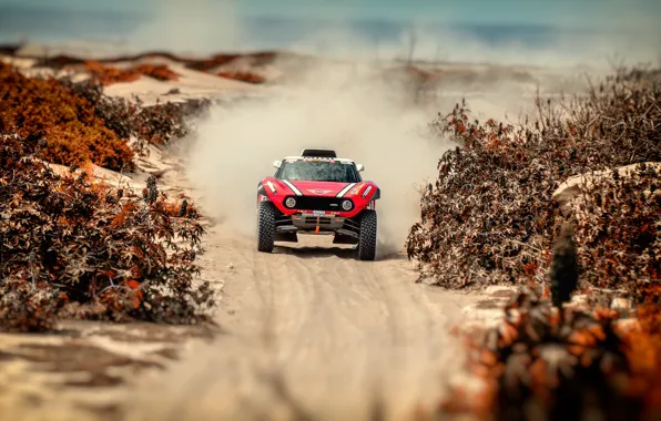 Песок, Авто, Mini, Спорт, Машина, Скорость, Автомобиль, Rally
