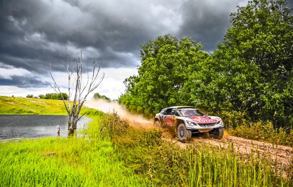 Спорт, Скорость, Гонка, Грязь, Peugeot, Фары, Red Bull, Rally