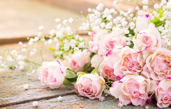 Розы, pink, flowers, romantic, roses