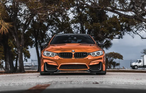 BMW, Carbon, Front, Face, Sight, Bronze, F83