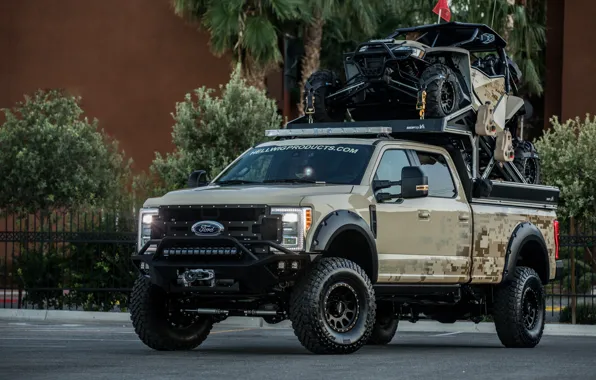 Ford, Pickup, Super Duty, Buggy, F-250, 2017, SEMA 2017, Hellwig