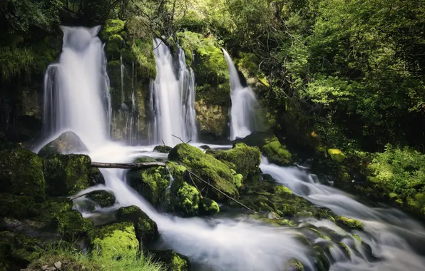 Картинка лес, река, камни, водопад, Испания, каскад, Spain, Каталония, Catalonia, Река Бастарень, Bastareny River, Font de …