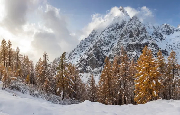 Картинка зима, снег, деревья, пейзаж, горы, елки, forest, landscape