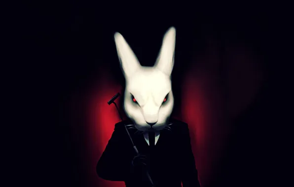 Rabbit, Bunny, bad rabbit, bad bunny, mean rabbit