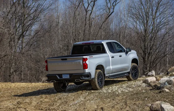 Chevrolet, кузов, вид сзади, пикап, Custom, Silverado, 2020