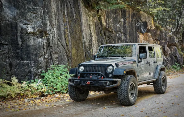 Car, SUV, Wrangler, Jeep, Rocks, Offroad, Dan Gorner
