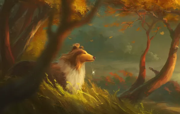 Картинка осень, лес, деревья, ветер, собака, медальон, art, колли