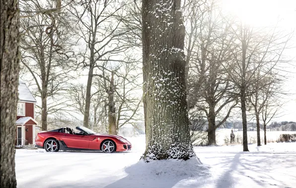 Car, Ferrari, trees, snow, SA Aperta, Ferrari SA Aperta