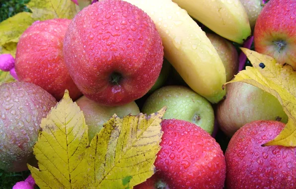 Картинка листья, капли, яблоки, бананы, фрукты