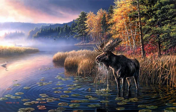 Осень, лес, небо, листья, деревья, птицы, туман, озеро