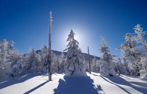 Картинка зима, небо, лучи, снег, деревья, горы