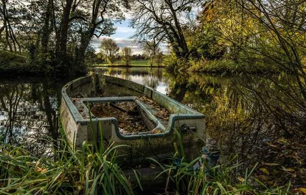 Картинка лес, озеро, лодка, Англия, Нортгемптоншир