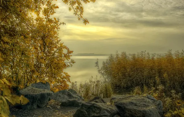 Картинка осень, трава, тучи, туман, река, камни, берег, Россия