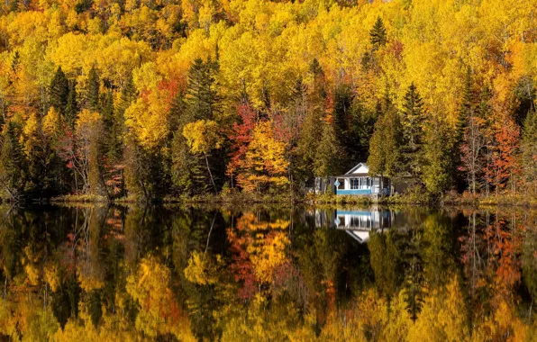 Осень, Canada, Quebec, Saint-Siméon