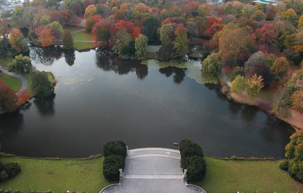 Картинка осень, листья, деревья, пейзаж, природа, озеро, вид, лестница