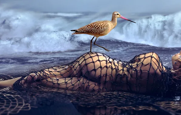 Вода, Море, Пляж, Девушка, Птица, Волны, Блондинка, Попка