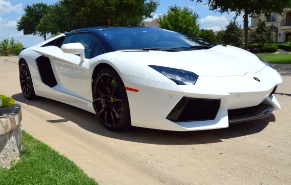 Картинка Roadster, Lamborghini, White, Aventador