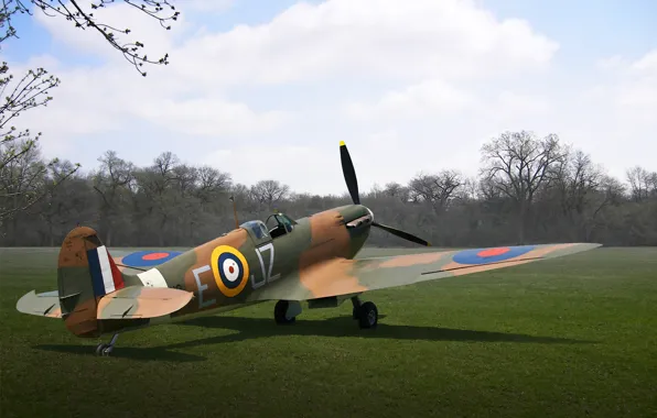 Поле, трава, рисунок, арт, самолёт, WW2, английский истребитель, Supermarine Spitfire Mk I