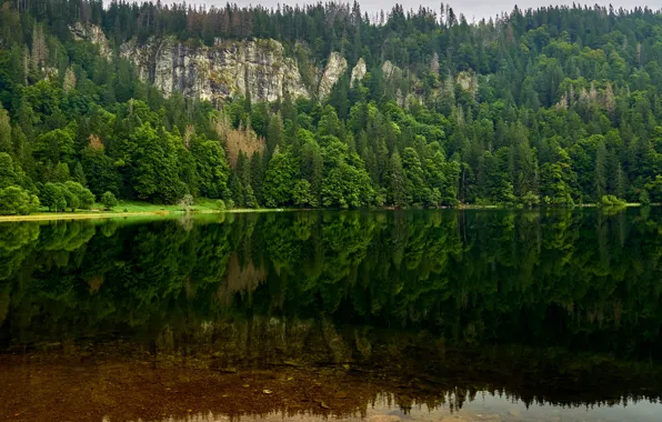 Зелень, лес, лето, вода, деревья, горы, озеро, отражение